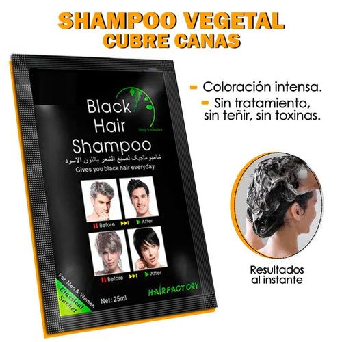 SHAMPOO CON COLOR – EFECTO ANTICANAS