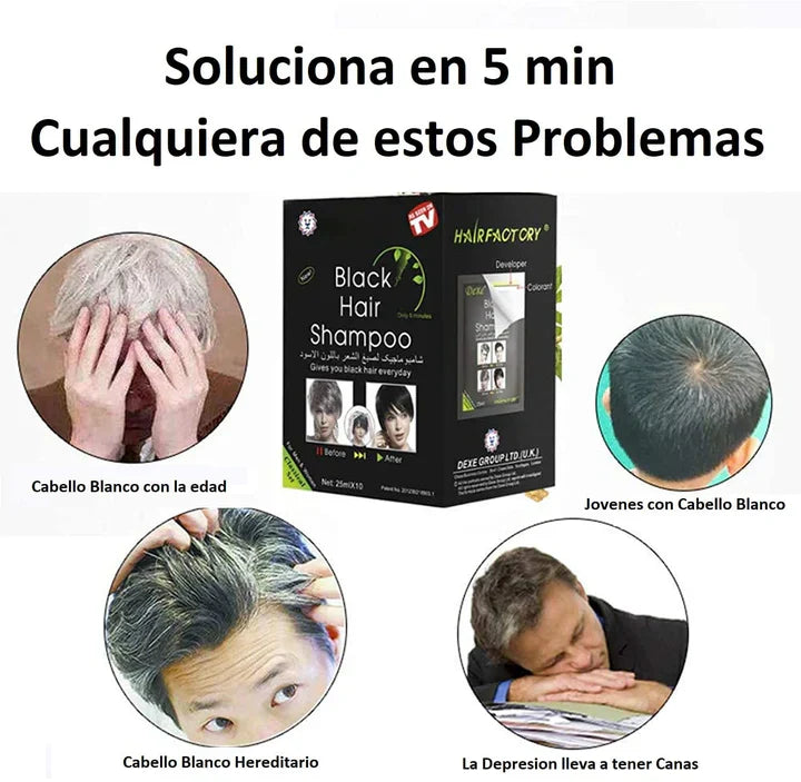 SHAMPOO CON COLOR – EFECTO ANTICANAS
